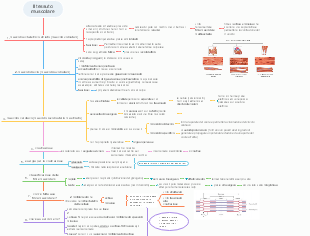 Il Tessuto Muscolare: Tipologie, Struttura e Funzione