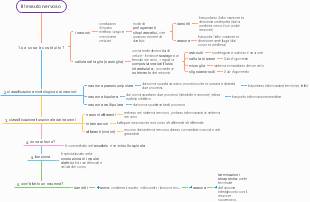 Il Tessuto Nervoso: Struttura, Classificazione e Funzione