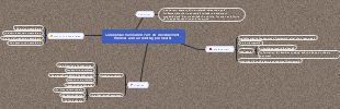 Foundations of Accounting: Exploring the Conceptual Framework and Theories