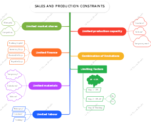 Sales and Production Constraints