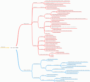 Cơ Chi Trên - Vùng Nách và Vùng Cánh Tay