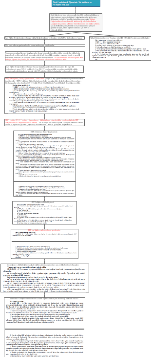 Özel Geçekleşen Öğrencilerin Yönlendirme ve Veri Setleri Süreci