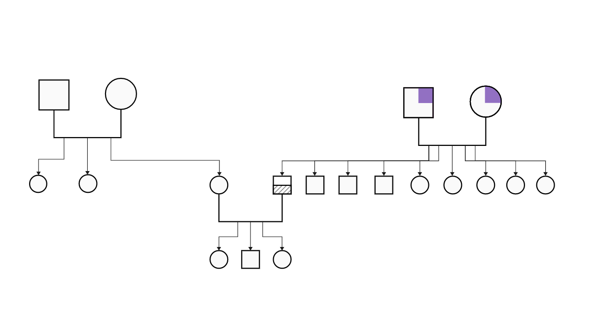 Pranz Fegidero's family relationship diagram form| EdrawMax