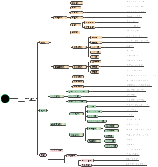 中学理科　生物分類