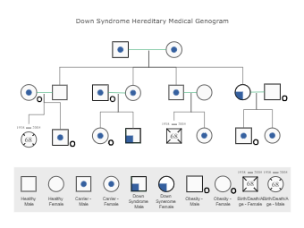 Hereditary Medical Genogram for Down Syndrome