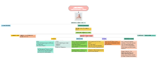 Integrated Management of Childhood Illness IMCI