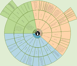 Phân loại Chú ý