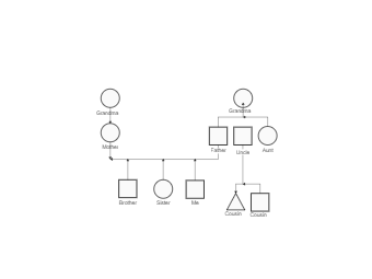 Basic Genogram diagram