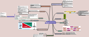 The Managerial Decision Making