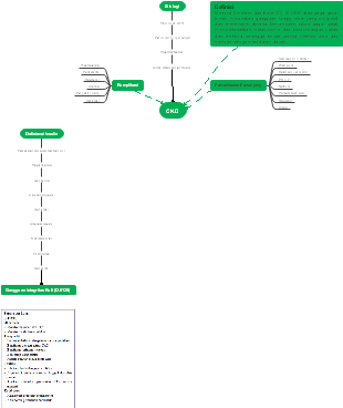 Bệnh CKD (Suy Thận Mạn Tính)