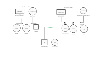The Individual Family Relationship Diagram