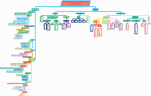 Mind map of genetic mechanism and mutation knowledge system