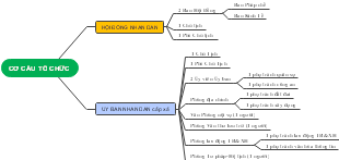 Organizational structure mind map