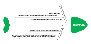 Singapore's Evolution