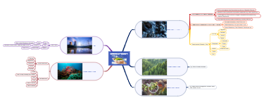 Science Concept Map