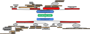 Mind map of red blood cell destruction