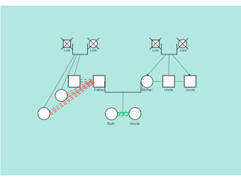 Brief Family Tree Genogram Example