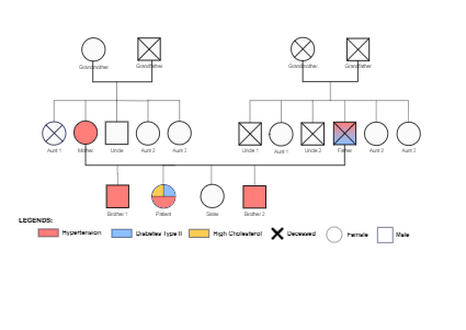 Medical Genogram Collection Templates | EdrawMax Free Editable