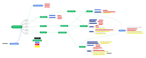 Brachial Plexus Nerve Network