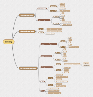 A mind map of induction