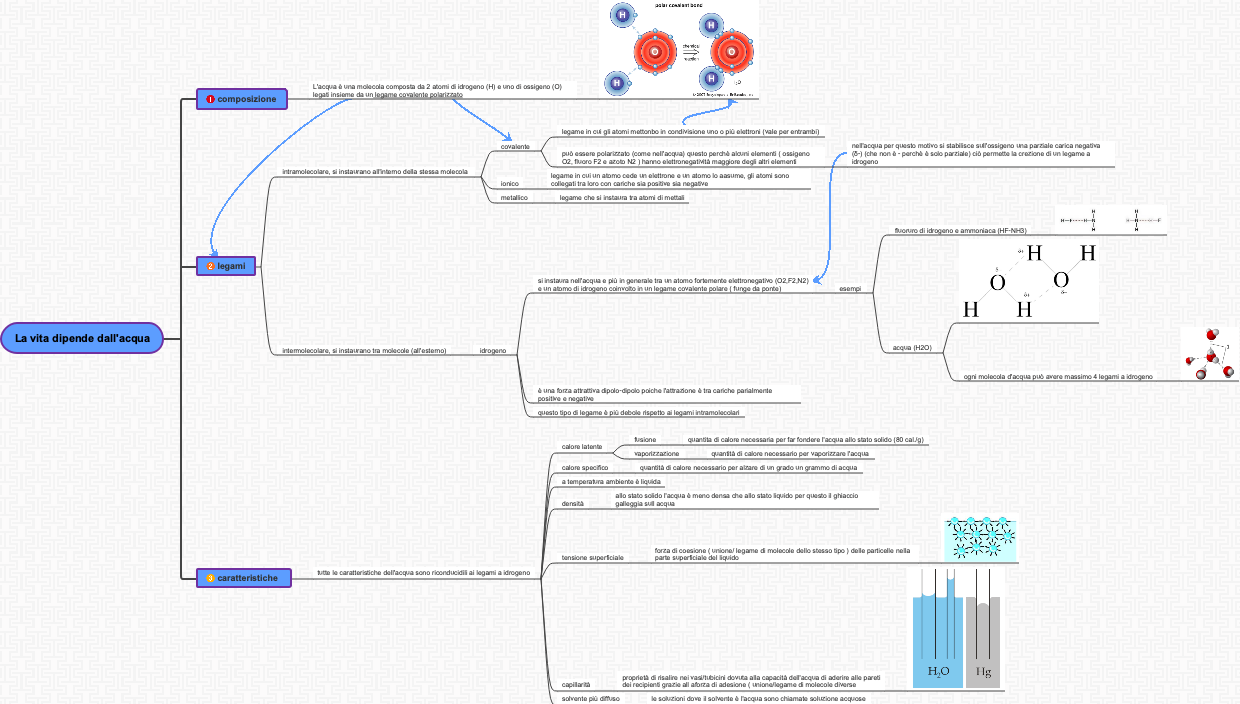La Vita Dipende dall'Acqua: Struttura Molecolare, Legami Chimici e Proprietà Fondamentali