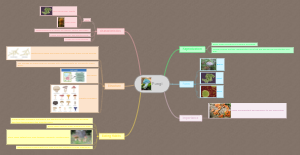 Mind mapping of fungi