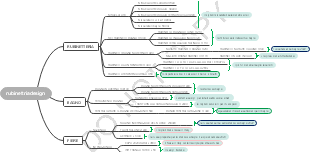 Rubinetteria e Design Bagno: Prodotti, Soluzioni e Tendenze 2022