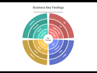 Circular Diagram for Business Key Findings Illustration