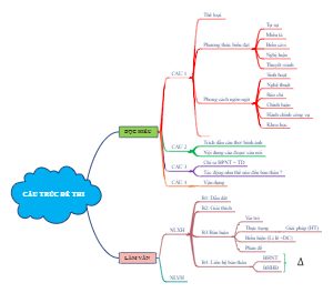 Câu Trúc Đề Thi