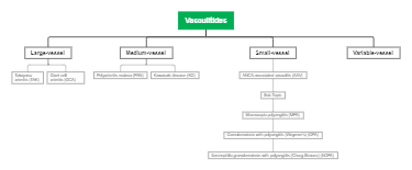 Vasculitides