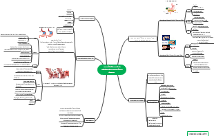 Cost-Benefits Analysis