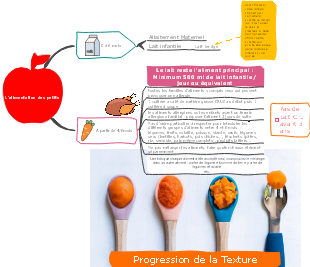 L'alimentation des petits