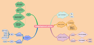 Categorising learner's mistakes
