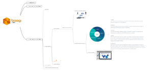 Webinar Gestión Por Procesos en Bizagi