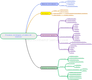 Procesos, estrategias y modelos de medicion
