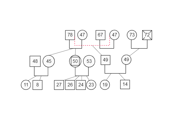 Family Genogram With Age Info