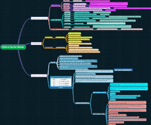 Distintos Tipos de Cableado