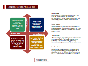 Implementation Strategy Matrix