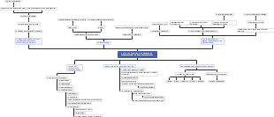 CAPÍTULO XXV Del Poder la Fortuna en las cosas humanas y los medios para oponerse