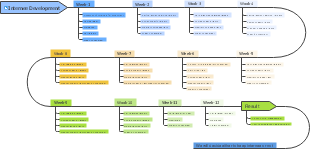 12-Week Intern Development Program