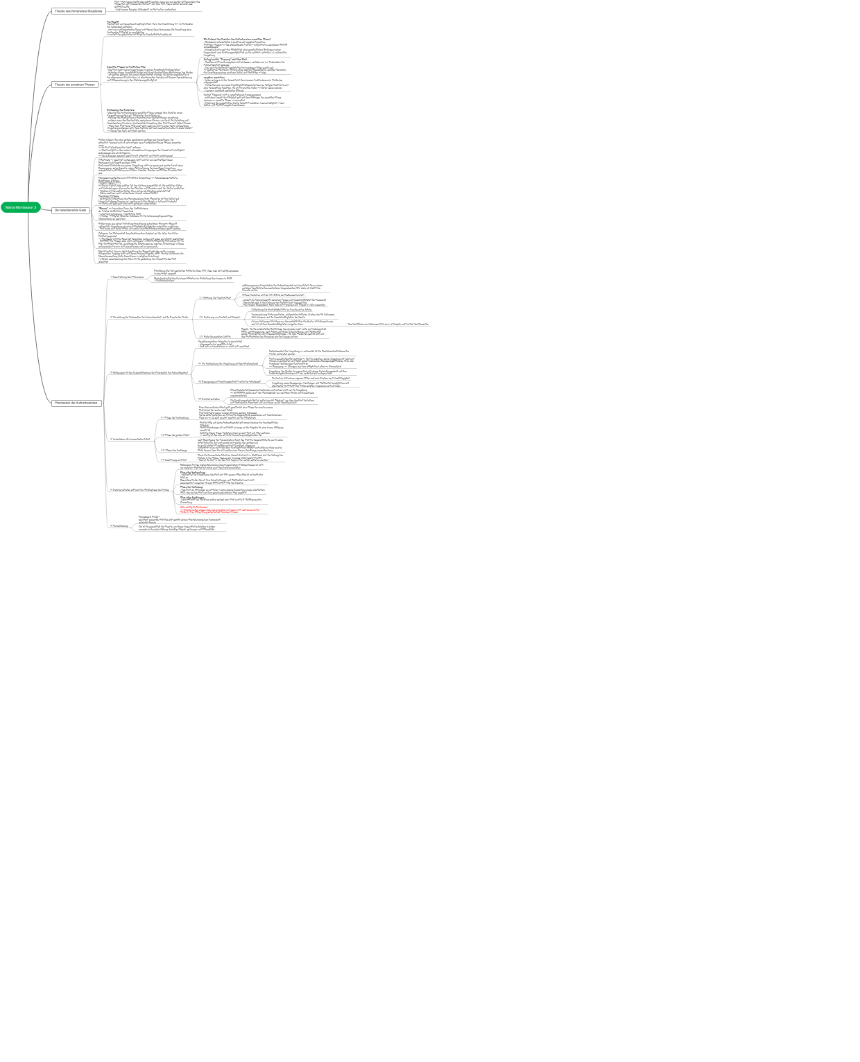 Maria Montessori 3: Der absorbierende Geist