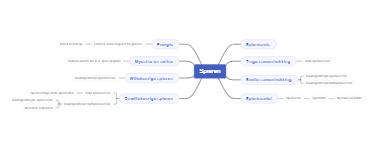 Mind mapping of muscles