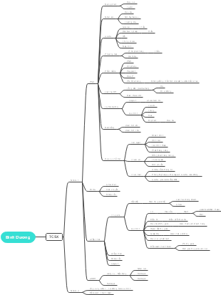 Binh Duong's mind map