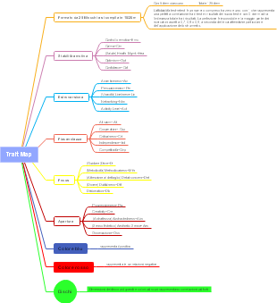 Trait Map: Valutazione dei Tratti della Personalità e Affidabilità dello Strumento