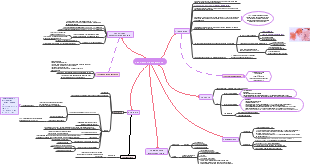 Amniorrexis prematura 