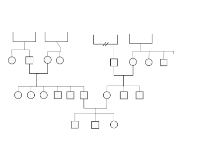 Family Genogram Sample With 4 Generation