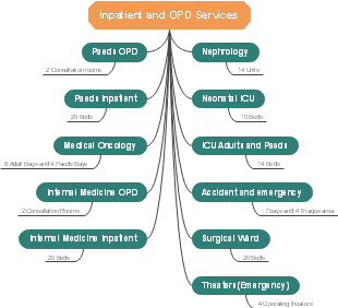 Inpatient and OPD Services