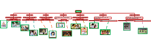 English Grammar: Verbs and Sentence Structures