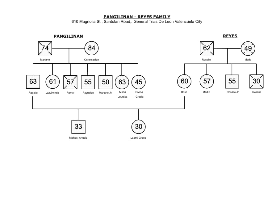 The Genogram Of Pangilinan Family