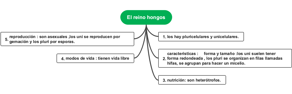 Mind map of the fungal kingdom